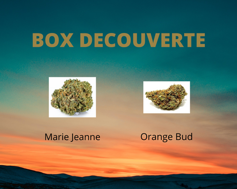 Marie Jeanne 10g / Orange Bud 10g